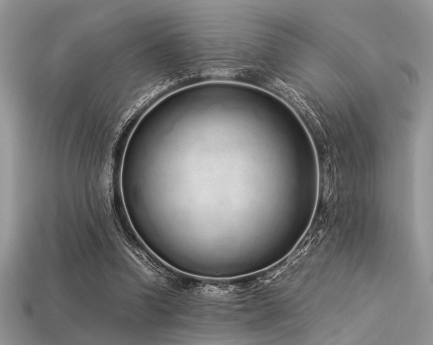 X0000113540346200909181202