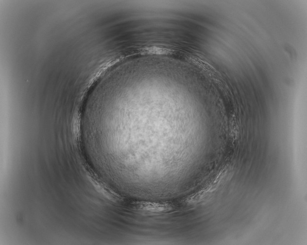 X0000113540347200909181202