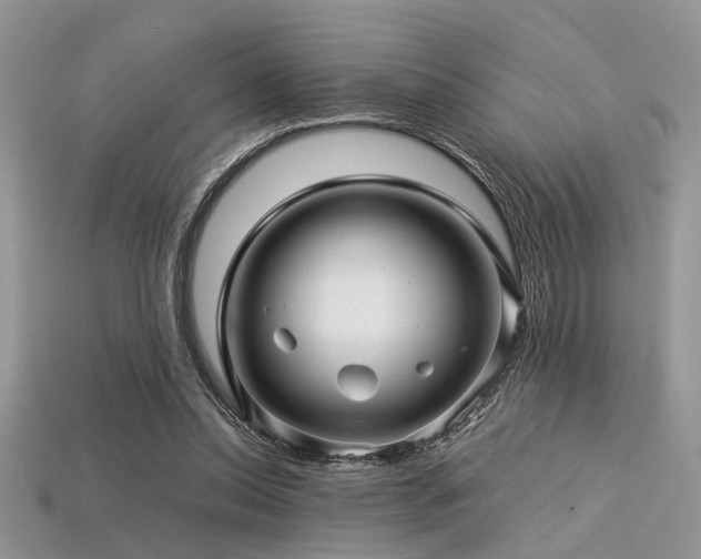 X0000113540350200909181202