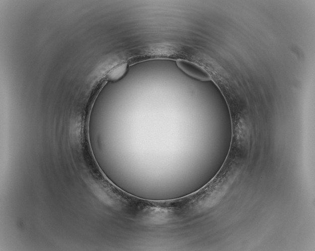 X0000113540352200909181202
