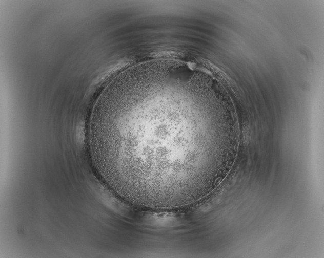 X0000113540353200909181202