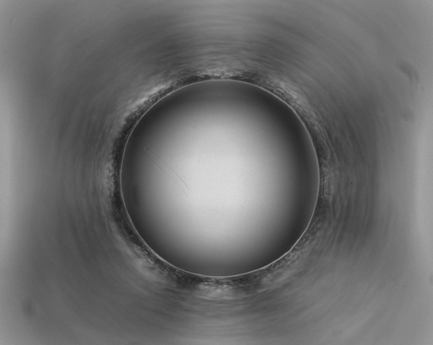 X0000113540354200909181202