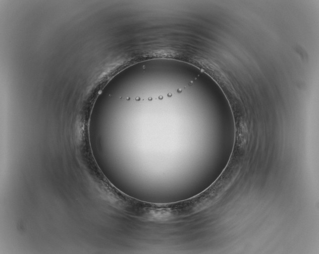 X0000113540355200909181202