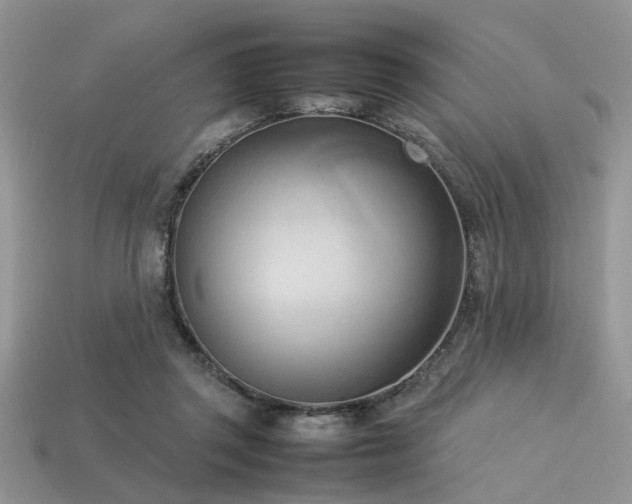 X0000113540357200909181202