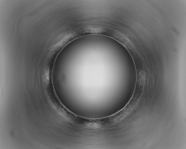 X0000113540358200909181202