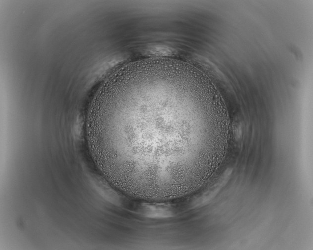 X0000113540359200909181202