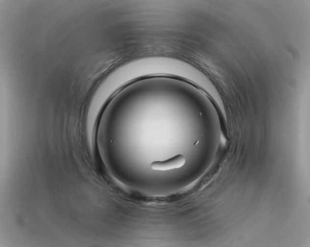X0000113540362200909181202