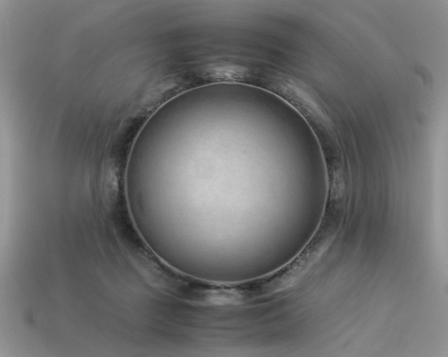 X0000113540363200909181202