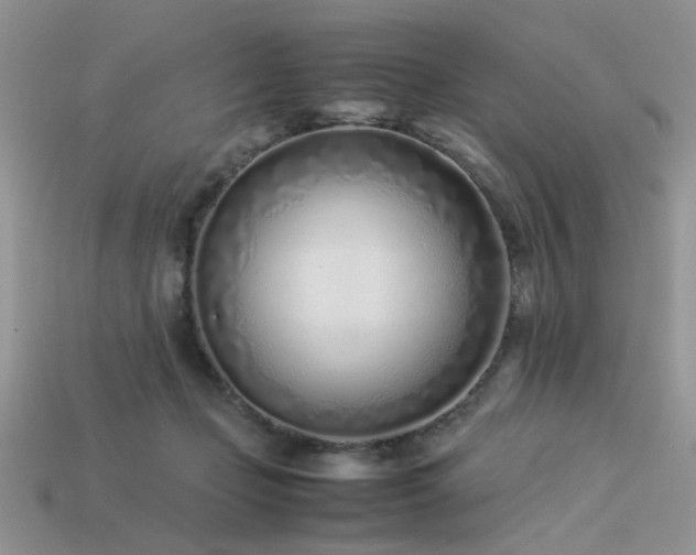 X0000113540365200909181202