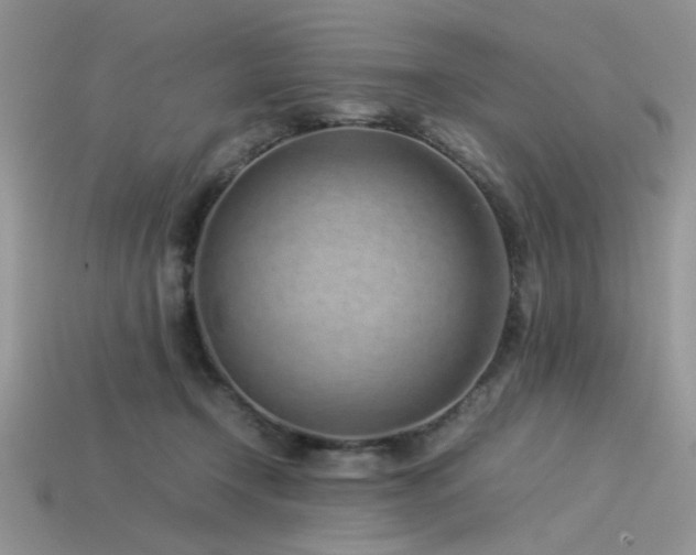 X0000113540366200909181202