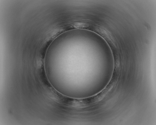 X0000113540367200909181202