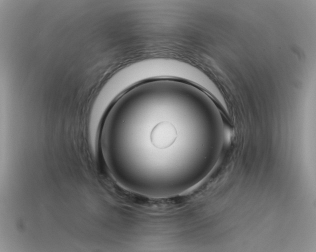 X0000113540368200909181202