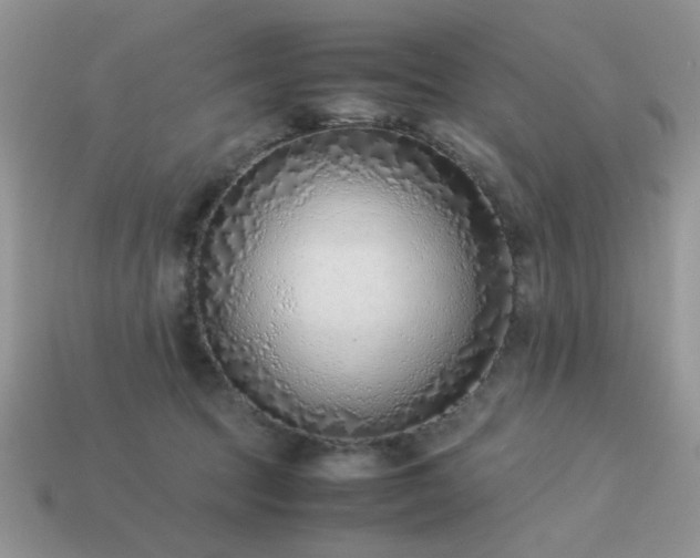 X0000113540369200909181202