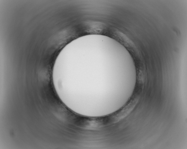 X0000113540370200909181202