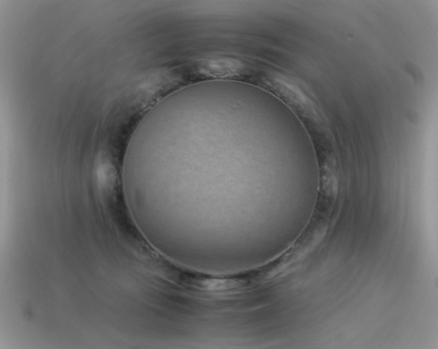X0000113540371200909181202