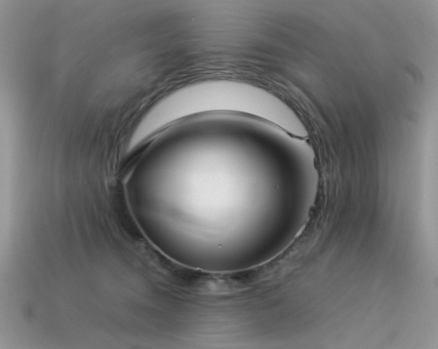 X0000113540372200909181203