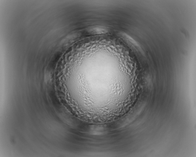 X0000113540373200909181203