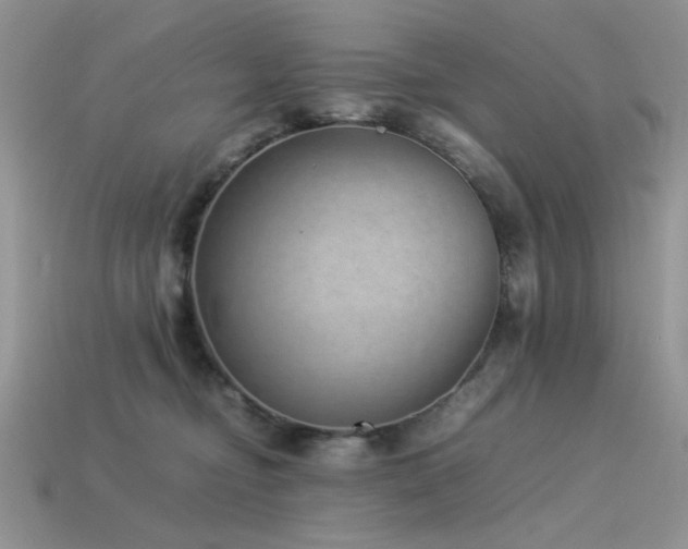 X0000113540374200909181203