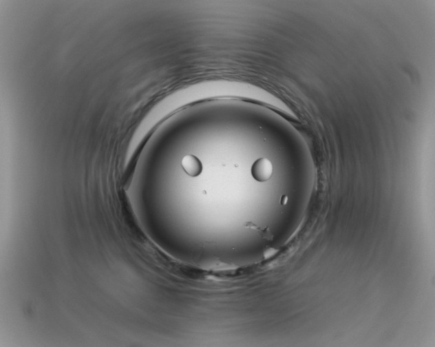 X0000113540376200909181203