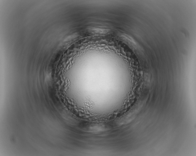 X0000113540377200909181203
