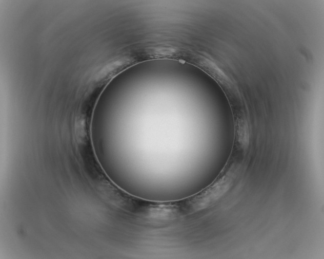 X0000113540378200909181203