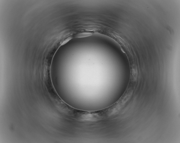 X0000113540379200909181203