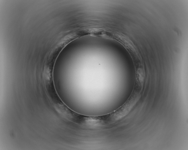 X0000113540380200909181203