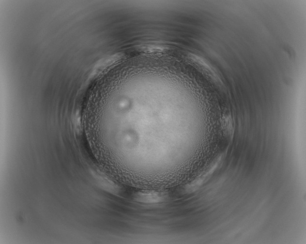 X0000113540381200909181203