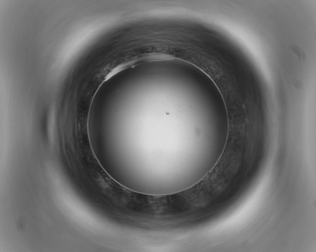 X0000113540382200909181203