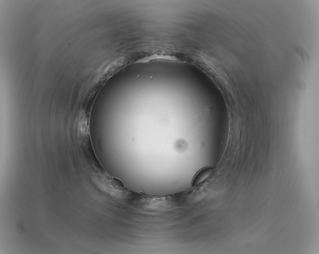 X0000113540384200909181203