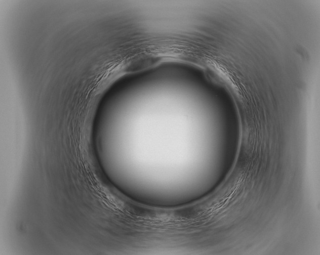 X0000113540385200909181202