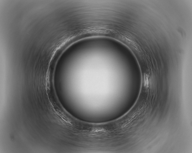 X0000113540388200909181202