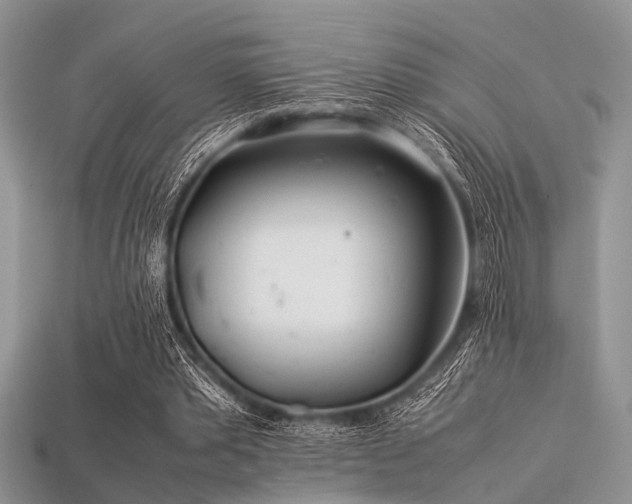 X0000113540389200909181202