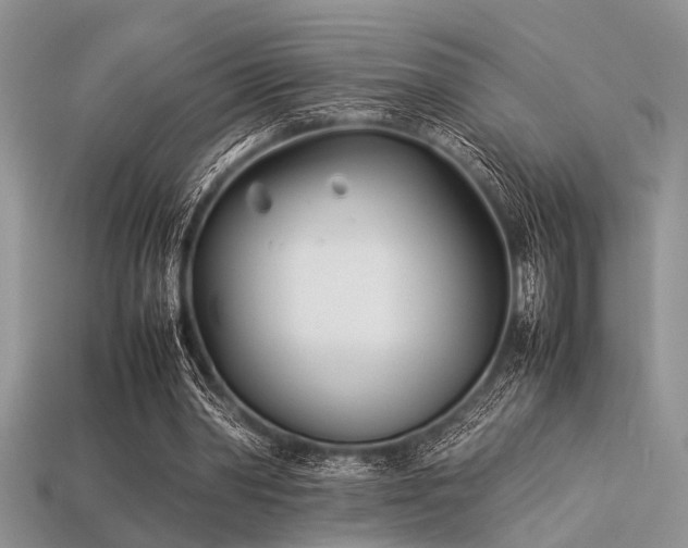 X0000113540390200909181202