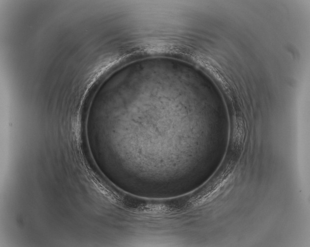 X0000113540391200909181202
