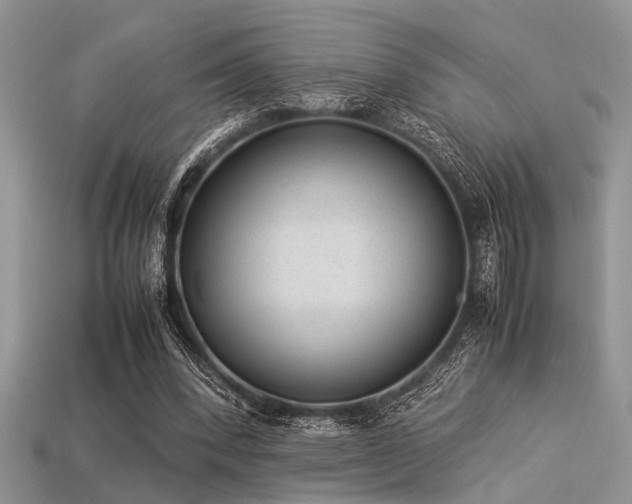 X0000113540392200909181202