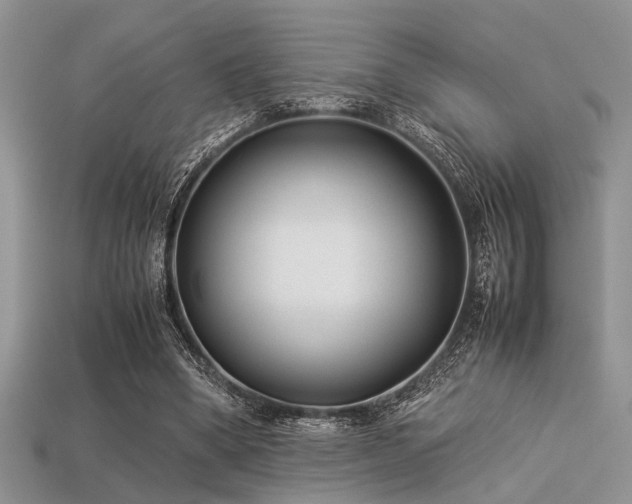 X0000113540394200909181202