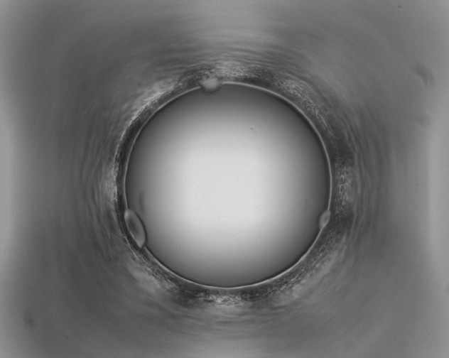 X0000113540395200909181202
