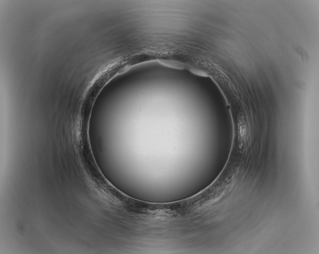 X0000113540396200909181202