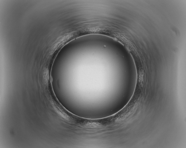 X0000113540397200909181202
