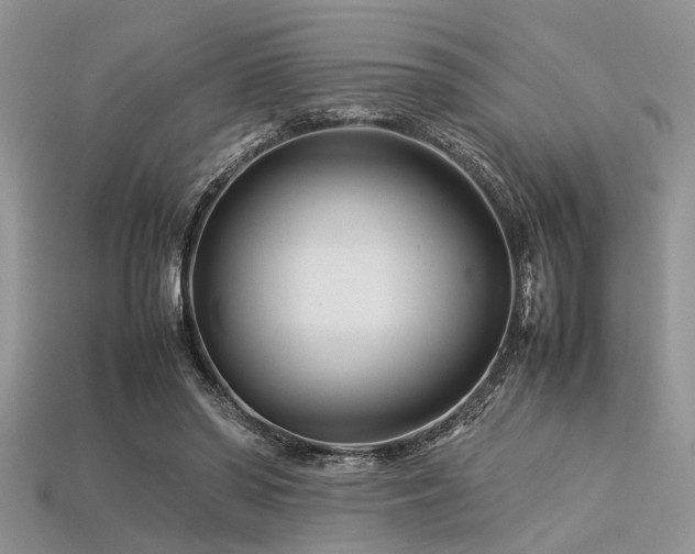 X0000113540398200909181202