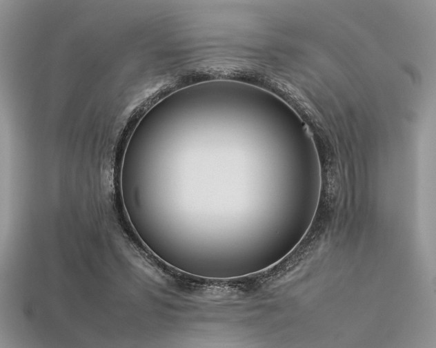 X0000113540399200909181202