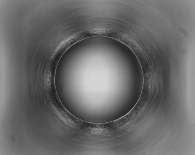 X0000113540400200909181202