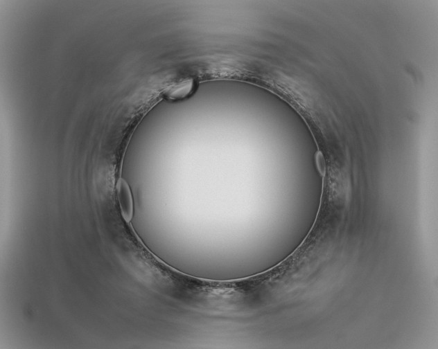 X0000113540401200909181202