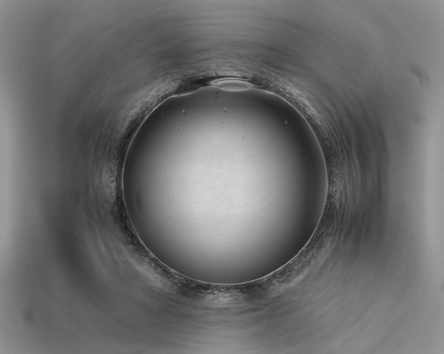 X0000113540402200909181202