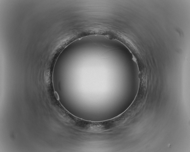 X0000113540403200909181202