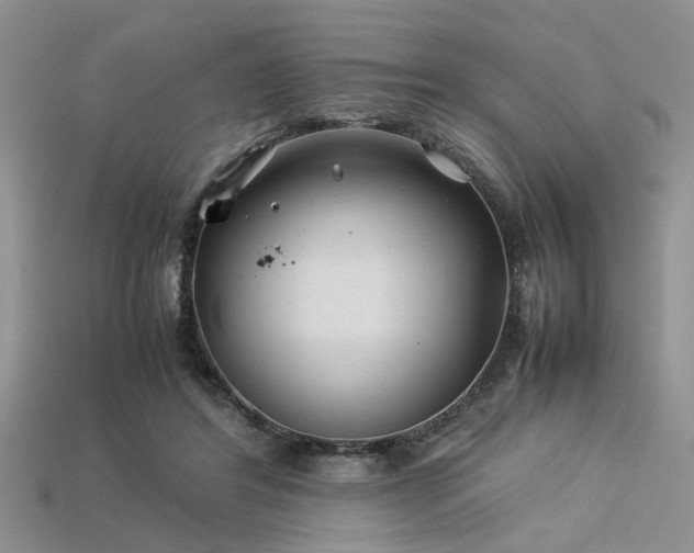 X0000113540404200909181202