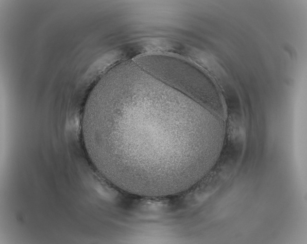 X0000113540405200909181202