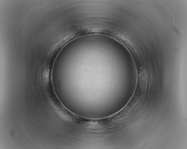 X0000113540406200909181202