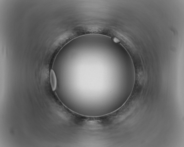 X0000113540407200909181202